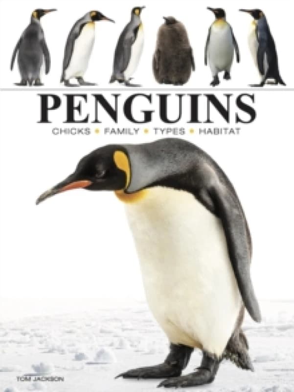 Penguins Paperback / softback