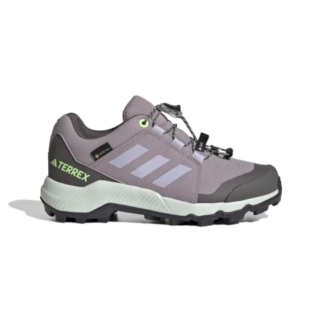 Children's trail running shoes adidas Terrex Gore-Tex Violet Unisex 36
