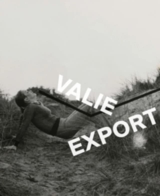 Valie Export : Photography Paperback / softback