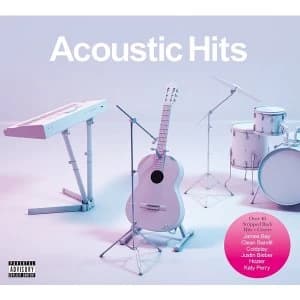 Various Artists - Acoustic Hits CD