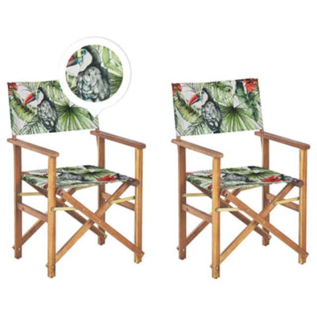 BELIANI Set of 2 Garden Chairs CINE Acacia Wood Green 312154