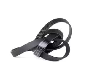 SKF V-ribbed belt AUDI,FIAT,ALFA ROMEO VKMV 6PK1722 55201363,046903137M,K04627095AA