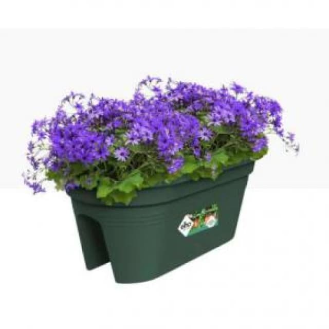 Elho Green Basics Flower Bridge 55cm - Leaf Green 6802355536000