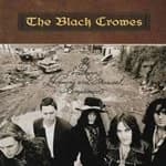 Black Crowes - The Southern Harmony And Musical Companion (Music CD)