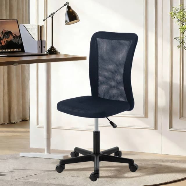 VINSETTO Armless Office Chair, Swivel Desk Chair w/ Adjustable Height in Dark Grey Dark Grey Unisex