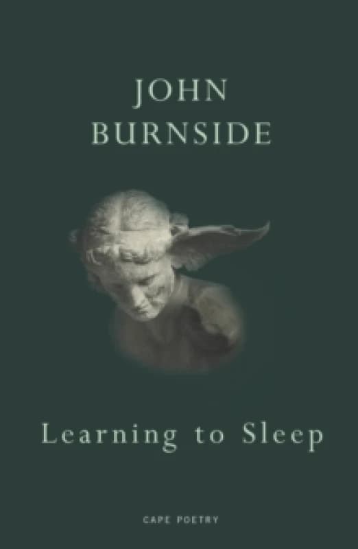 Learning to Sleep Paperback / softback