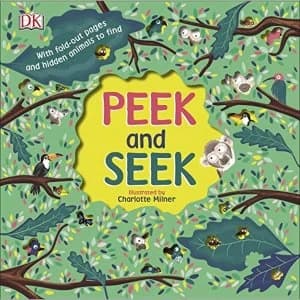 Peek and Seek Board book 2018