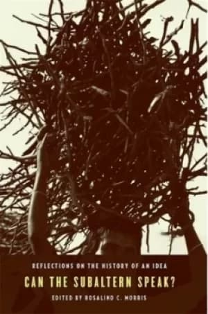 Can the subaltern speak? by Rosalind C Morris