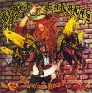 Black Bananas Physical Emotions 2014 USA 7" vinyl DC572