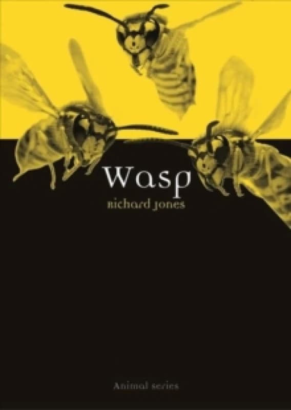 Wasp Paperback / softback