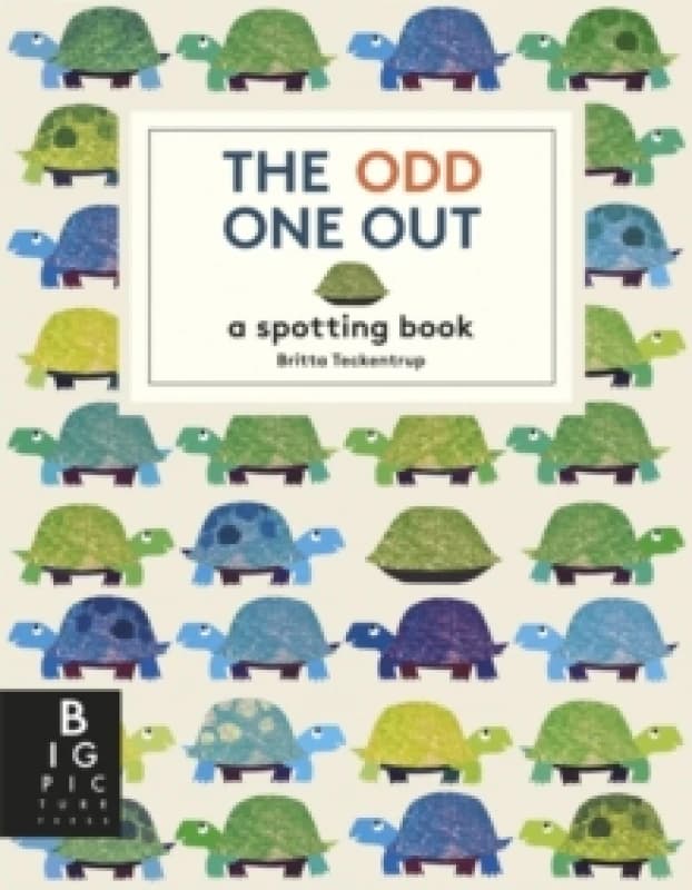 The Odd One Out : A Spotting Book Paperback / softback