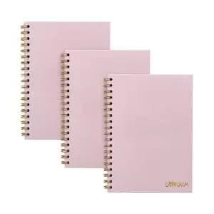 Pukka Pads Carpe Diem Wirebound Hardback Notebook Pink B5 9376-CD