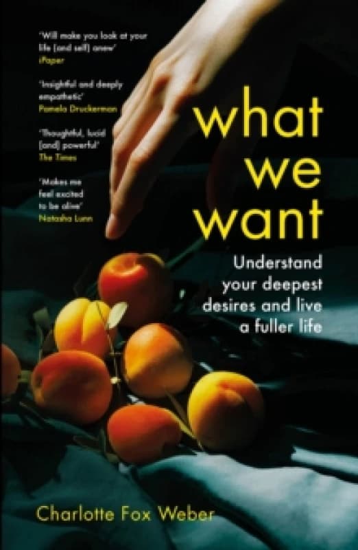 What We Want : A Journey Through Twelve of Our Deepest Desires Paperback / softback