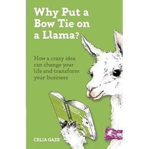 Why Put a Bow Tie on a Llama? How a crazy idea can change your life and transform your business Paperback / softback 2020