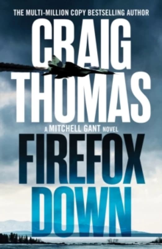 Firefox Down Paperback / softback