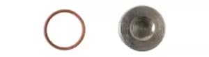 HGV Sump Plug to suit Mercedes Pk 1 Connect 33163
