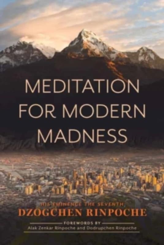 Meditation for Modern Madness Paperback / softback