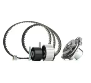 INA Water Pump + Timing Belt Kit 530 0561 30 OPEL,FIAT,SUZUKI,COMBO Kasten/Kombi (X12),Combo Combi / Tour (X12),GRANDE PUNTO (199),PUNTO EVO (199)
