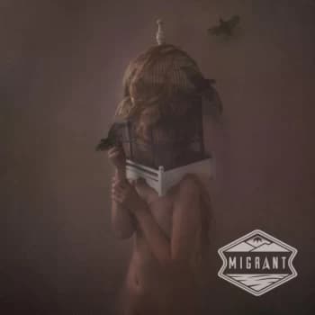 Dear Hunter, The - Migrant Reprise Vinyl