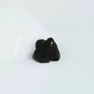 Hiss Spun by Chelsea Wolfe CD Album
