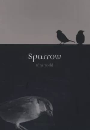 Sparrow by Kim Todd