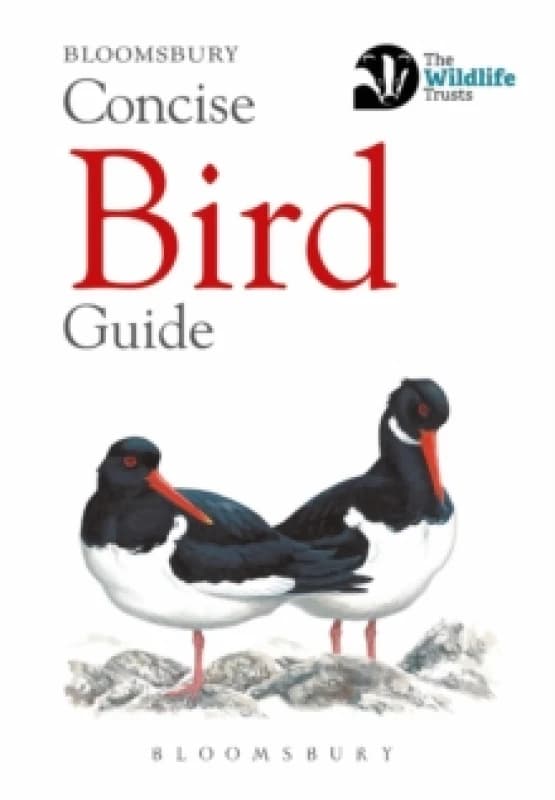 Concise Bird Guide Paperback / softback