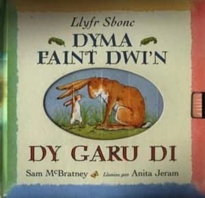 Dyma Faint Dwin Dy Garu Di by Sam Mcbratney Hardback