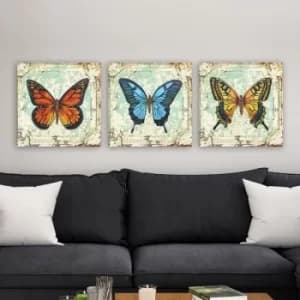 drprc9027 Multicolor Decorative Canvas Painting (3 Pieces)