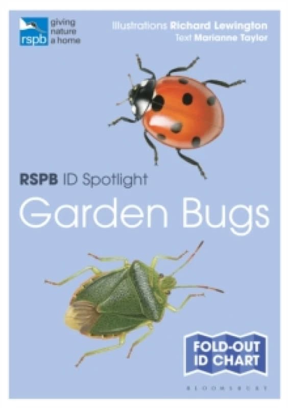 RSPB ID Spotlight - Garden Bugs Fold-out book or chart