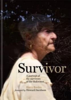 Survivor by Harry Borden Hardback