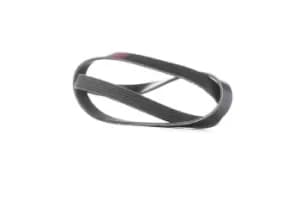 RIDEX V-ribbed belt AUDI,BMW,RENAULT 305P0242 028260849H,11288580362,11288638716 11289888807,5750TN,96144511,117207930R,311105G0A01,31110P8BJ01,5750C1