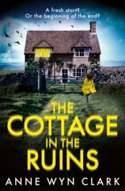 The Cottage in the Ruins. Paperback. By Anne Wyn Clark Books
