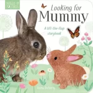 Looking for mummy - Becky Davies - Board book - Used
