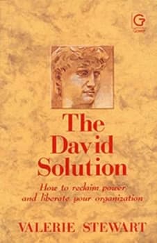 The David Solution by Valerie Stewart Hardback
