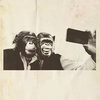 Crazy P - Age Of The Ego CD