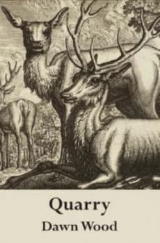 Quarry by Dawn Wood Hardback