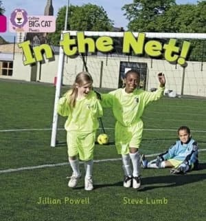 In the Net by Jillian Powell Paperback