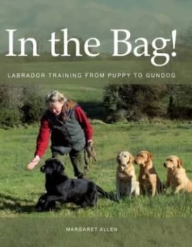 In the bag by Margaret Allen