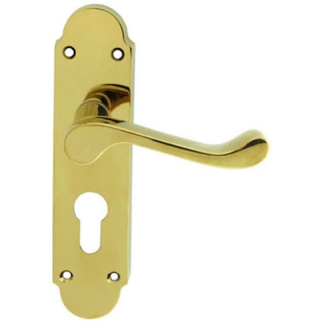 Loops PAIR Victorian Upturned Lever on Euro Lock Backplate 170 x 42 Polished Brass Metallics
