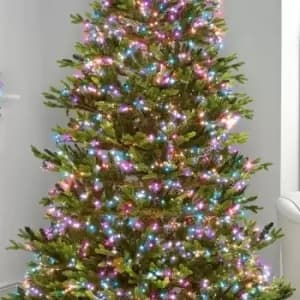 The Winter Workshop - 2000 LED Compact Cluster Lights for 10ft Christmas Tree - Indoor & Outdoor Garden Party Wedding Event Multi Function Timer