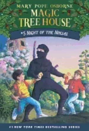 night of the ninjas
