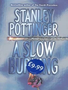 A Slow Burning by Stanley Pottinger Hardback