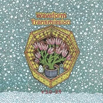 Waveform Transmission - V 3.0-3.9 Vinyl