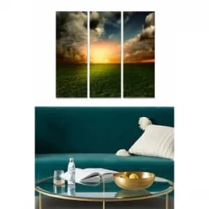 MDF91986029 Multicolor Decorative MDF Painting (3 Pieces)