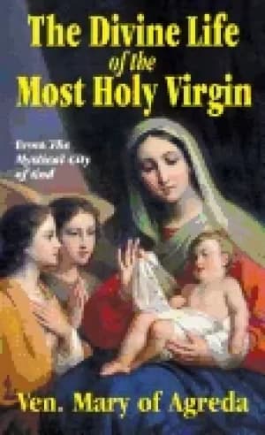 divine life of the most holy virgin being an abridgement of the mystical ci