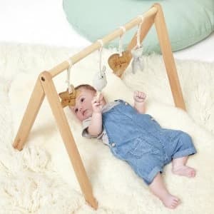 The Little Green Sheep Wooden Baby Play Gym & Charms Set