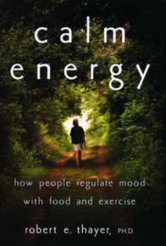 Calm Energy by Robert E. Thayer Book