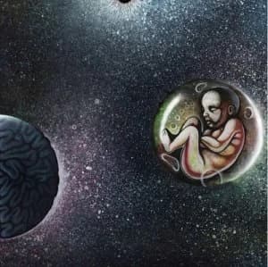 Cosmic Child by New Keepers of the Water Towers CD Album