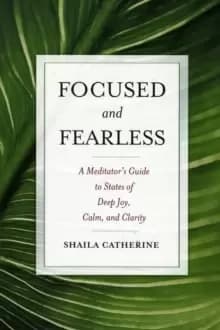Focused and Fearless : A Meditator's Guide to States of Deep Joy, Calm, and Clarity