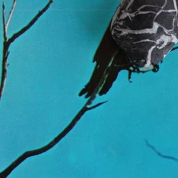 Tangents - Stateless Vinyl